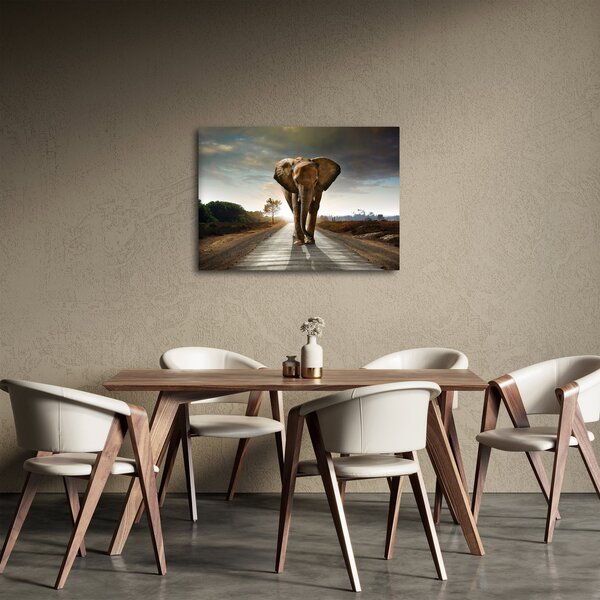 Tablou cu elefant (70x50 cm)