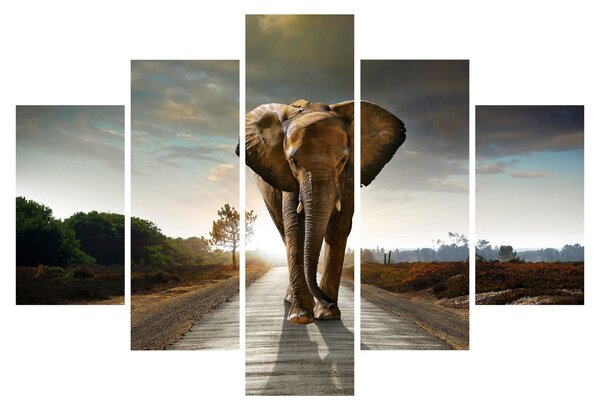 Tablou cu elefant (150x105 cm)