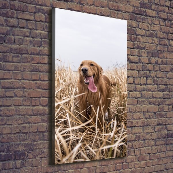 Tablouri tipărite pe pânză Labrador