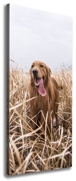 Tablouri tipărite pe pânză Labrador