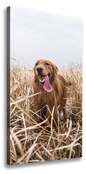 Tablouri tipărite pe pânză Labrador