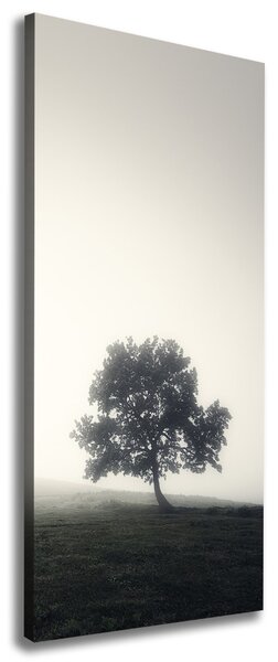 Tablou canvas Arborele în ceață