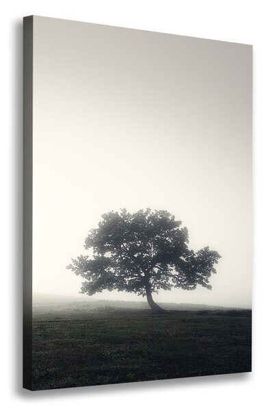 Tablou canvas Arborele în ceață