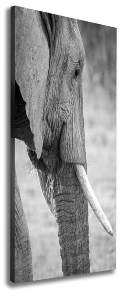 Imprimare tablou canvas elefant
