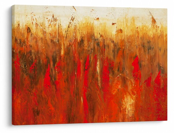 Tablou cu abstracție pictată (70x50 cm)