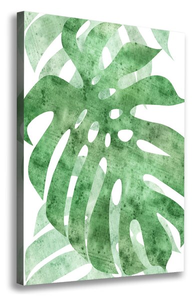 Print pe pânză Monstera