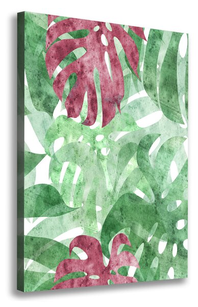 Print pe canvas Monstera