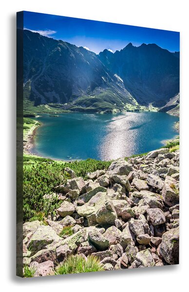 Print pe pânză Negru iaz Tatry