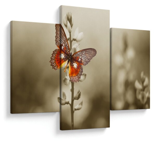 Tablou cu fluture (90x60 cm)