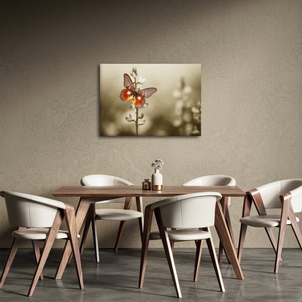 Tablou cu fluture (70x50 cm)