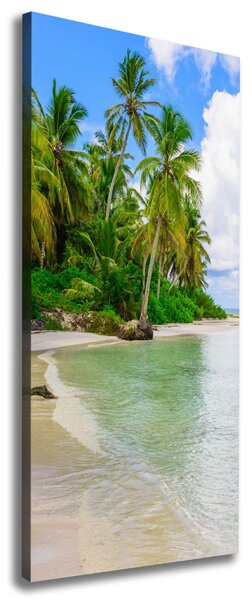 Tablou pe pânză plaja tropicala