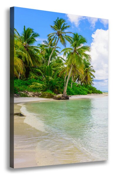Tablou pe pânză plaja tropicala