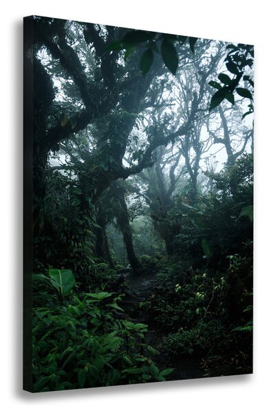 Tablou pe pânză canvas pădurea tropicală