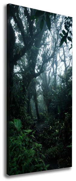 Tablou pe pânză canvas pădurea tropicală