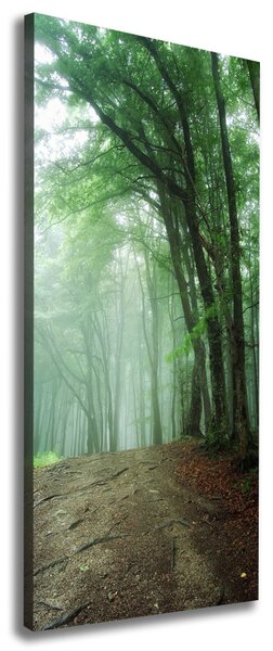 Imprimare tablou canvas Ceață în pădure