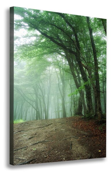 Imprimare tablou canvas Ceață în pădure