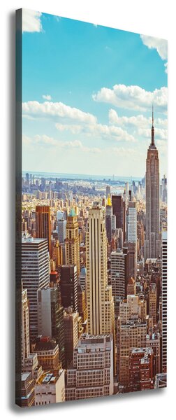 Pictură pe pânză New York pasăre de zbor