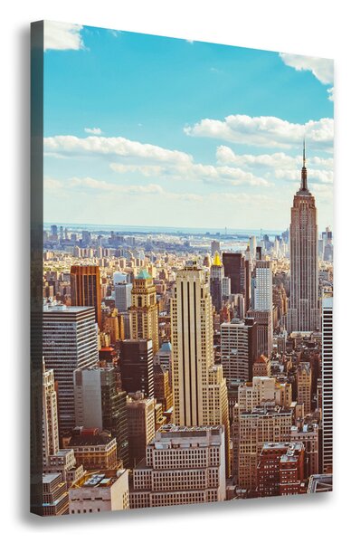 Pictură pe pânză New York pasăre de zbor
