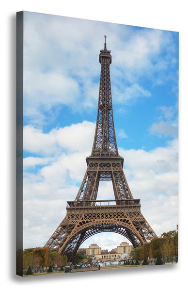 Tablou pe pânză canvas Turnul Eiffel din Paris