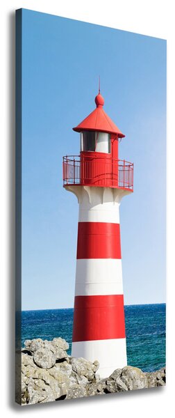 Print pe canvas Far