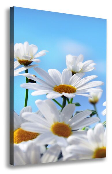 Print pe canvas margarete