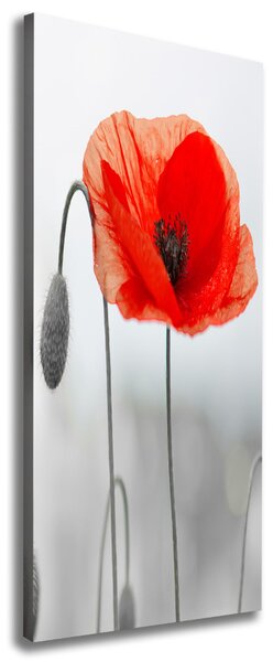 Tablou canvas wildflowers maci