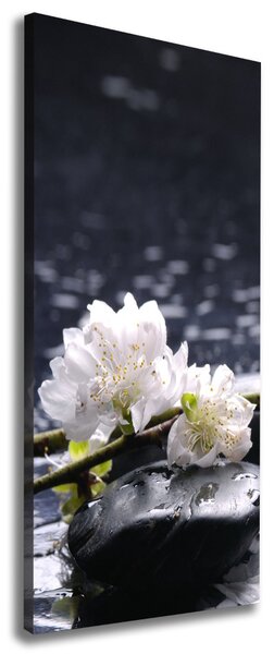 Imprimare tablou canvas Flori și pietre