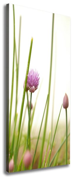 Print pe pânză floare arpagic