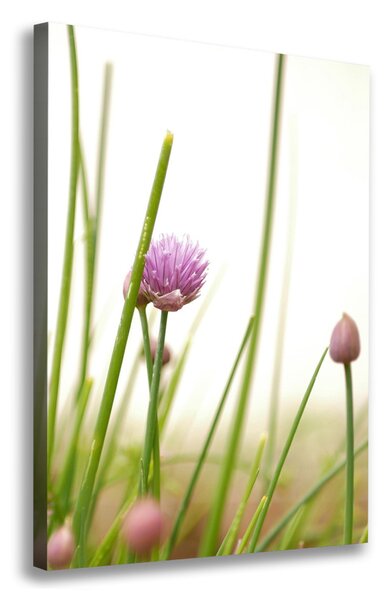 Print pe pânză floare arpagic
