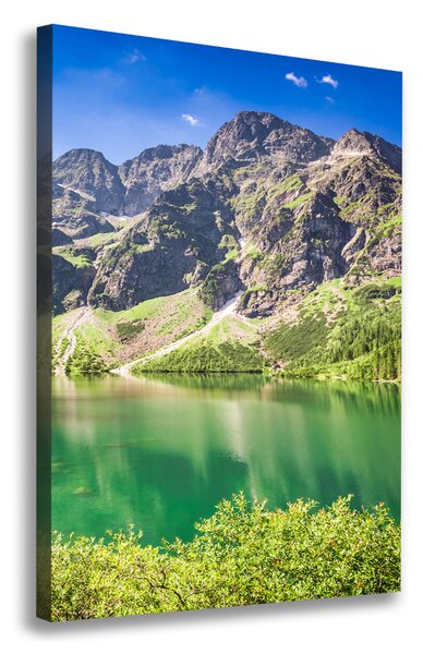 Tablouri tipărite pe pânză Marine ochi Tatry