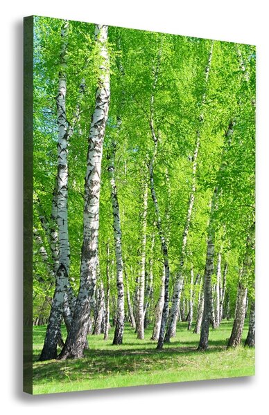 Pictură pe pânză pădurea de mesteacăn