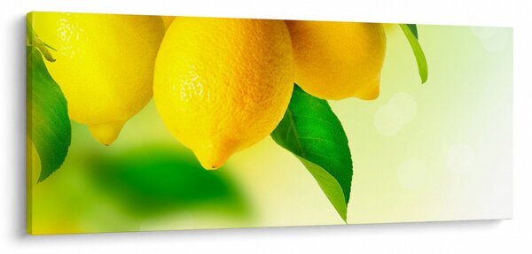 Tablou cu lămâi (120x50 cm)