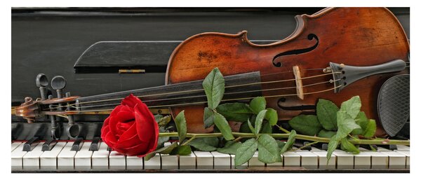 Tablou - Amintire de muzicean (120x50 cm)
