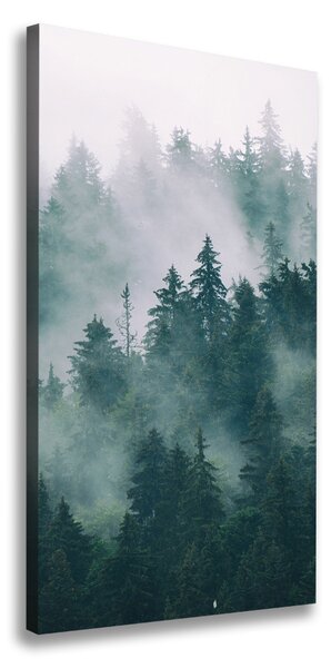 Tablou pe pânză Ceață peste pădure