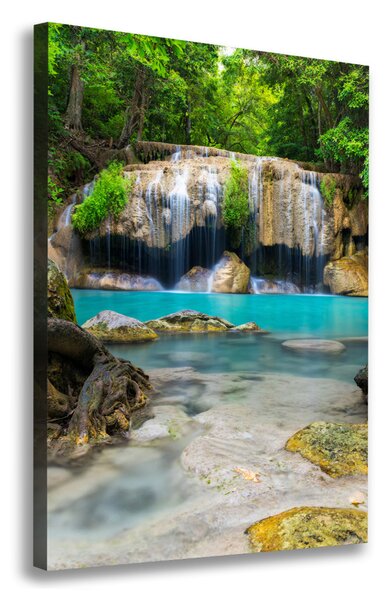 Tablouri tipărite pe pânză Cascada din junglă