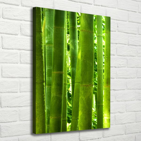 Print pe canvas Bambus