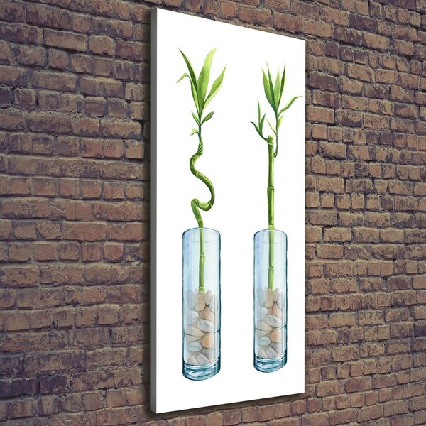 Print pe canvas Bamboo într-un vas