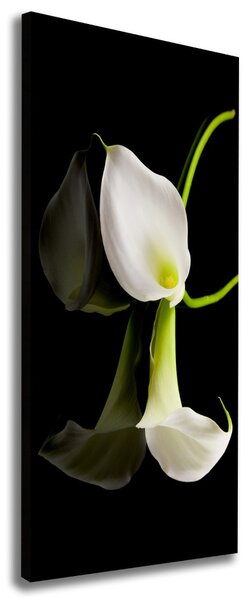 Tablou pe pânză canvas calla alb