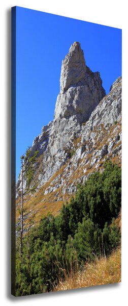 Tablou pe pânză canvas Mici Giewont Tatra
