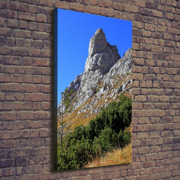 Tablou pe pânză canvas Mici Giewont Tatra