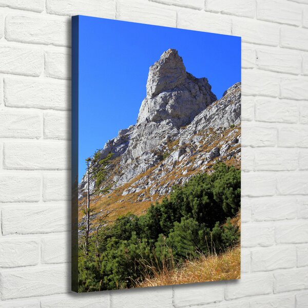 Tablou pe pânză canvas Mici Giewont Tatra