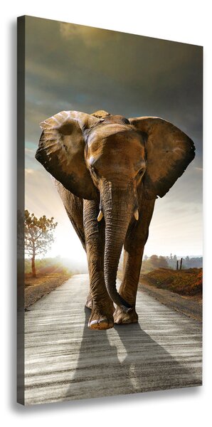 Print pe pânză elefant de mers pe jos