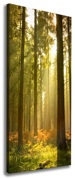 Print pe canvas pădure frumoasă