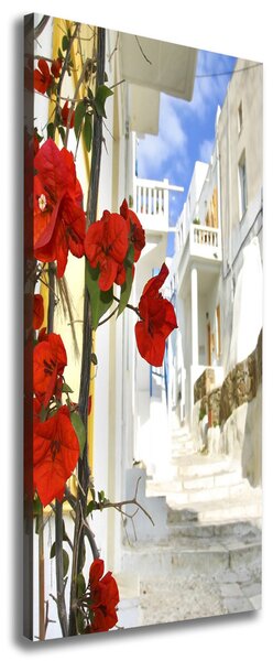 Tablou canvas Mykonos Grecia