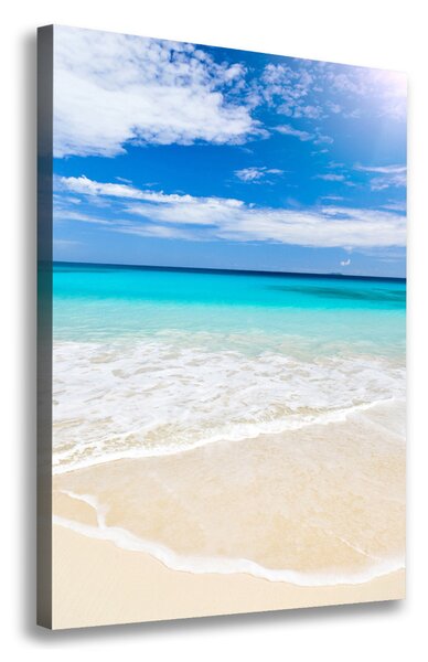 Tablou canvas plaja tropicala