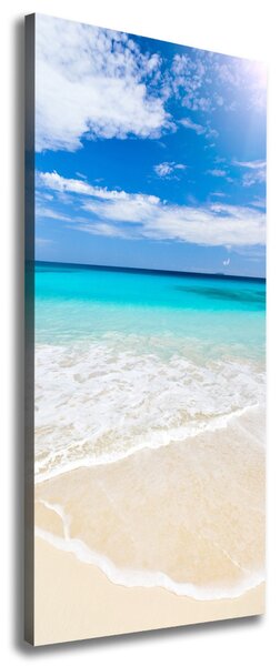 Tablou canvas plaja tropicala