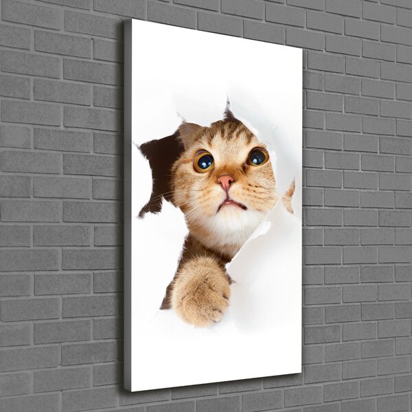 Imprimare tablou canvas Pisică