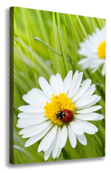 Tablou canvas margarete