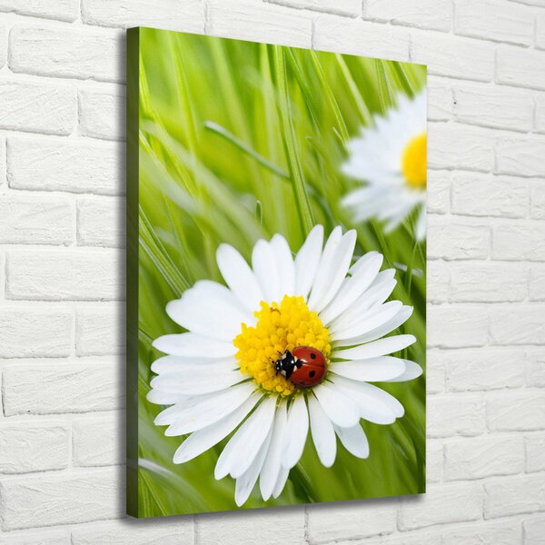 Tablou canvas margarete