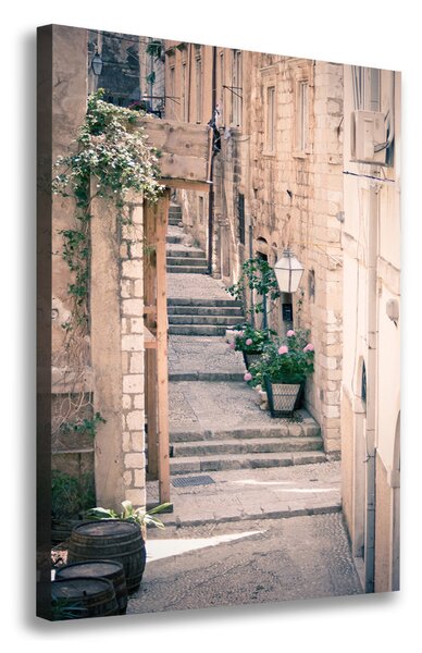 Imprimare tablou canvas Dubrovnik, Croația